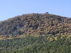 -帽儿山国家森林公园