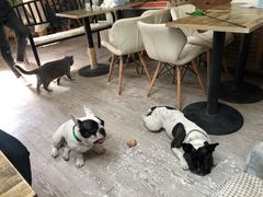 -小时光咖啡馆(北锣鼓巷店)