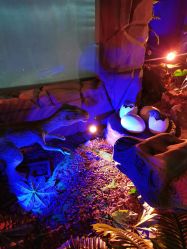 点击看大图 -恐龙探索乐园(磁器口店)