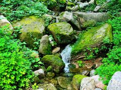 -北京凤凰岭
