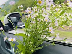 -燕子河大峡谷天坑仙境