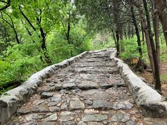 -阳台山自然风景区