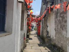 -绍兴鲁迅故里·沈园景区