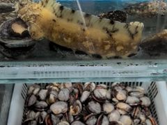 -渔码头食府·20年蓬莱老字号(登州路店)