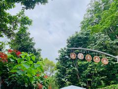 -中国科学院西双版纳热带植物园