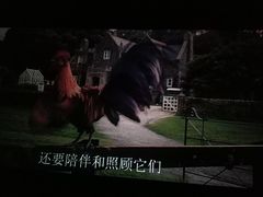 -幸福蓝海国际影城(烟台大悦城IMAX店)