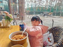 -上海野生动物园老虎餐厅