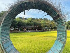 -红山村