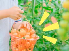 -前小桔亲子创意农场·草莓采摘·露营烧烤