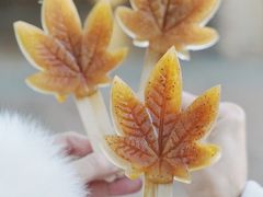 -田野绿世界