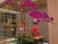 -JOYA湾悦国际酒店(世界之窗店)