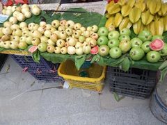 -黄埔古港