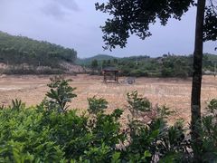 -田园寨农园观光园