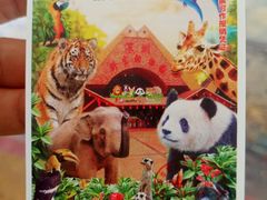 -深圳野生动物园
