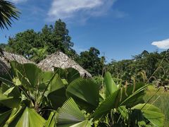 -中国科学院西双版纳热带植物园