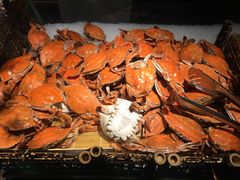 -星伦多自助料理·涮烤一体(虹悦城店)