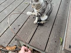 -东钱湖小普陀景区