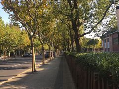 -上海德威外籍人员子女学校(浦东校区)