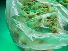 -龙门李家三旦羊肉汤馆
