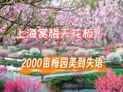 -上海海湾国家森林公园