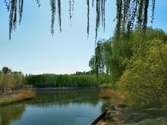 -大兴滨河森林公园