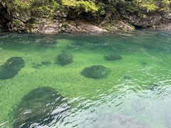 -石台牯牛降景区