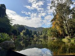 -深圳仙湖植物园