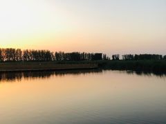 -白洋淀风景区
