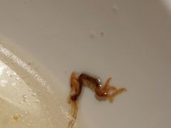 -日丰园海肠水饺·老字号大连海鲜(银泰城店)