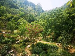 -抱龙峪