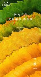 -鼎极摄影(世纪金源店)
