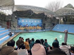 -合肥野生动物园