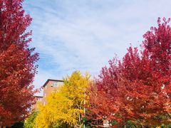 -辽宁大学(崇山校区)