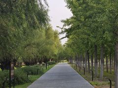 -汉长安城未央宫国家考古遗址公园