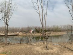 -东郊湿地公园