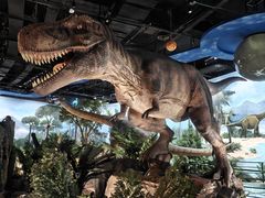 -陕西自然博物馆