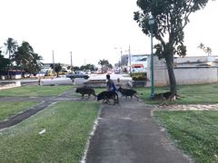 -美国纪念公园