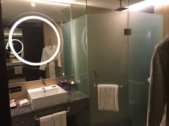 -南桥绿地铂骊酒店