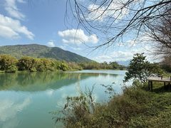 -广州市流溪河国家森林公园