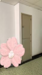 -北京妇产医院(东院)