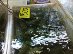 iphone_upload_pic-班赞海鲜市场
