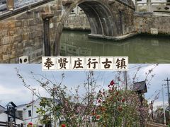 -顾村公园