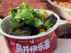 -黑色经典臭豆腐·湖南特产(步行街店)