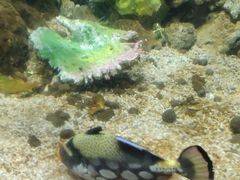 -锦艺城海洋馆