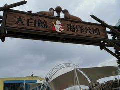 -芜湖新华联大白鲸海洋公园