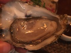 -斯普汇生蚝牛排馆(中骏世界城店)