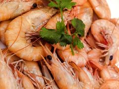 -吴记富苑(朝阳店)