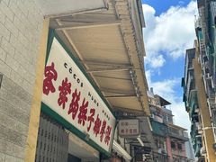 -洪馨椰子