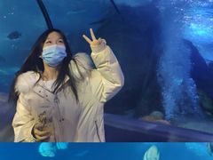 -太平洋海底世界