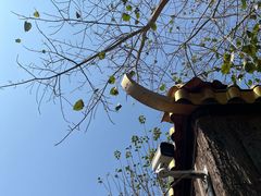 -广州莲花山旅游区